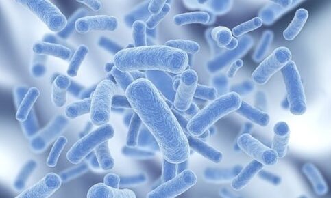 bakteri dalam tubuh manusia
