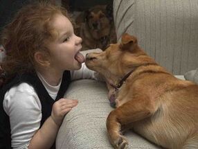 anak itu mencium anjing itu dan terinfeksi parasit